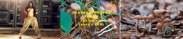 MESCALINE Лиски