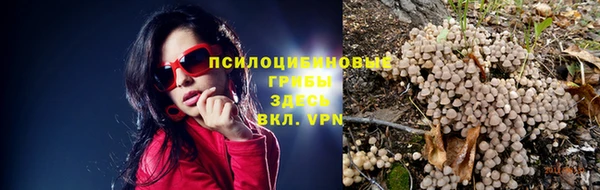 MDMA Premium VHQ Липки