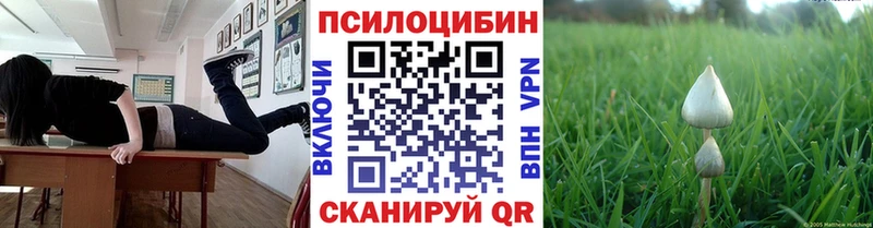 Галлюциногенные грибы ЛСД  Кочубеевское 